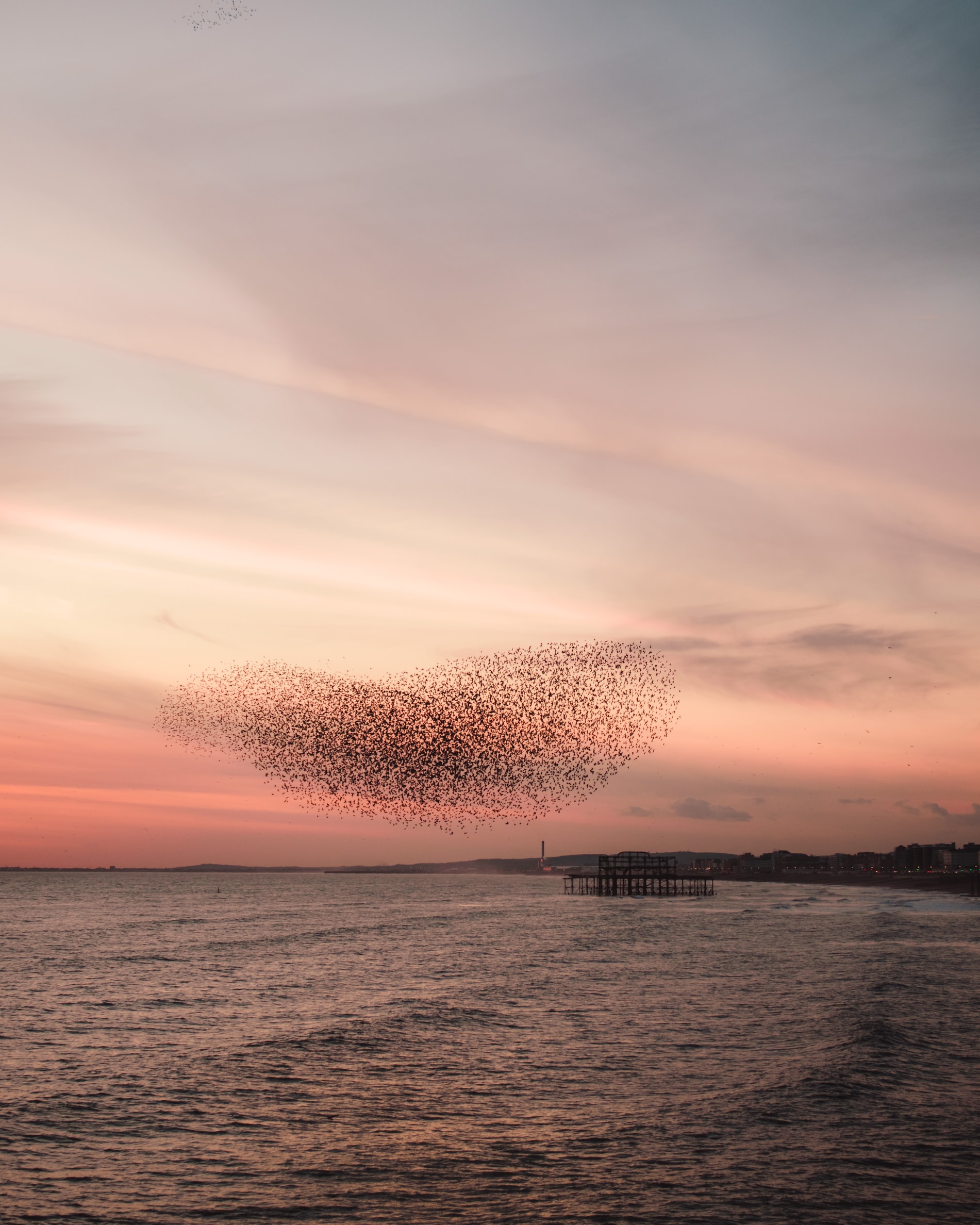 2021成人高考语文科目内容分析及解题技巧