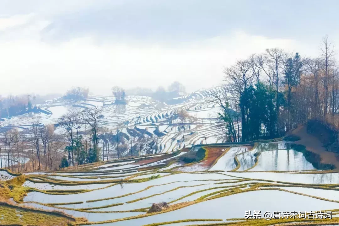 辛弃疾最出名25首诗词背景