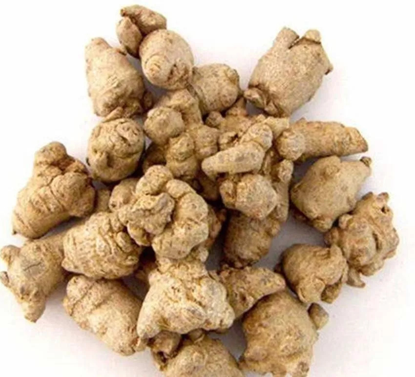 田七和三七的区别(田七和三七的区别在哪)-图1