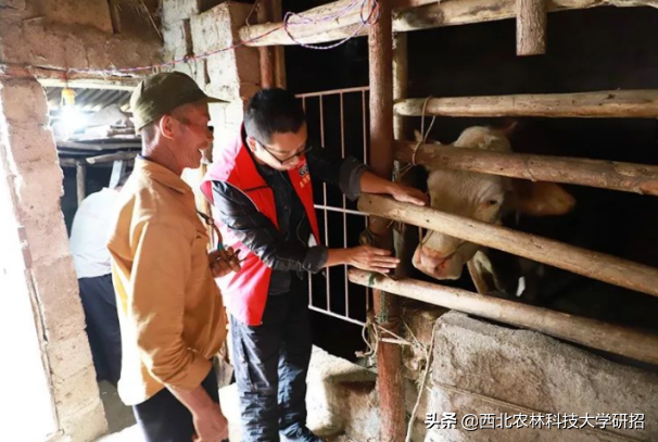 收到4份工作邀请，陕西研究生却选择当“兽医”，如今任副局长