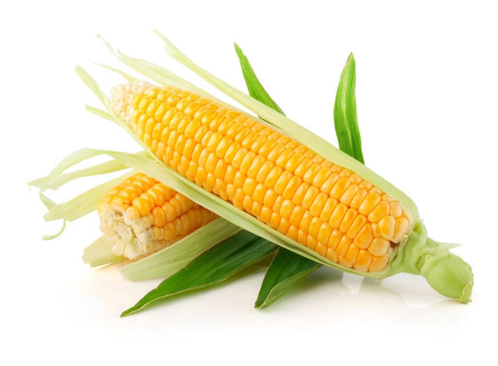 玉米的营养价值和功效（常吃玉米有4个好处）
