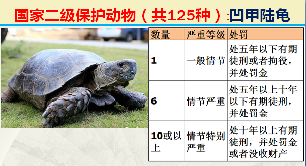 国家保护动物分几个等级（125类二级野生保护名录）