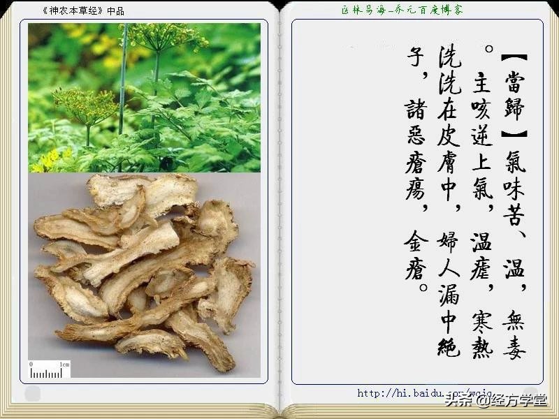 《神农本草经》全册图文解析 建议收藏