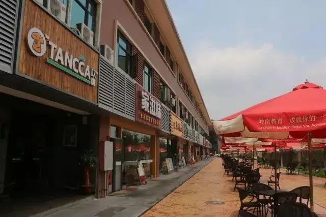 高职高考必看｜全面了解广东岭南职业技术学院