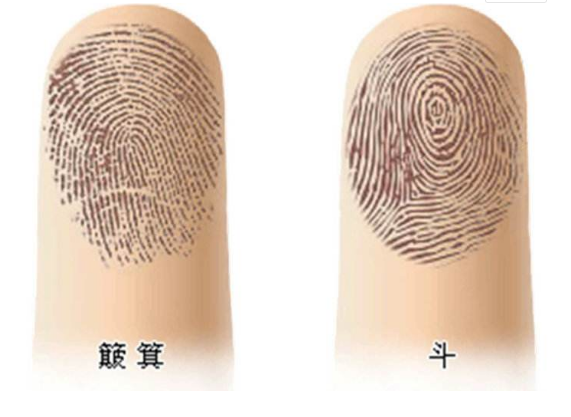 俗语:"一个簸箕九个斗,不干也能有",有道理吗?看看你的手