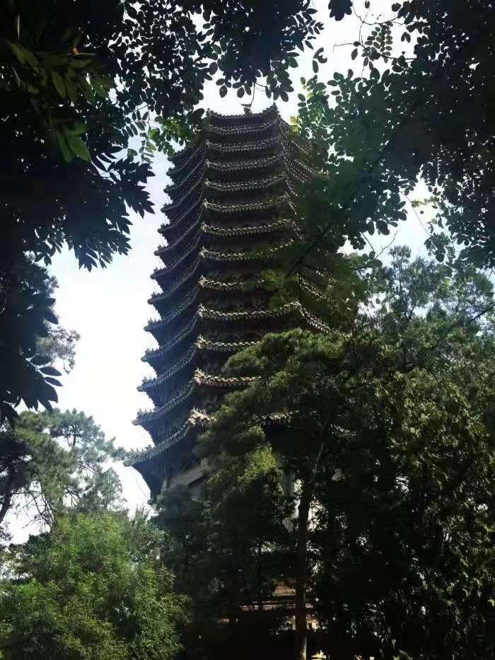 8年前，辽宁学霸刘丁宁放弃港大72万奖学金，退学二战实现北大梦