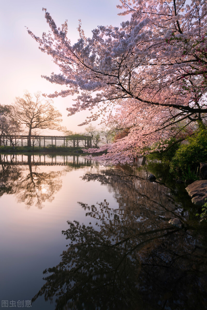 欧阳修《采桑子》轻舟短棹西湖好，赏析