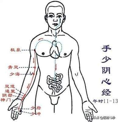 小指对应心经,手少阴心经从心中走手,直达无名指末端,主治心痛,口渴