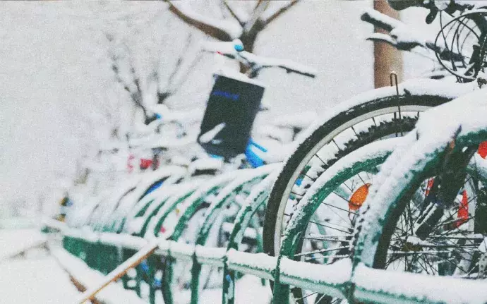 开学了，去青岛最美大学去逛一逛吧，个个堪比5A级景区