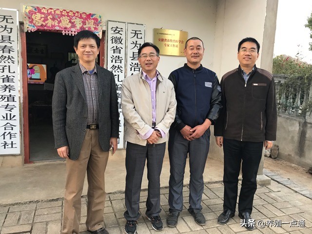 陈宏权，安徽农业大学动物科技学院教授、博导，动物遗传育种专家