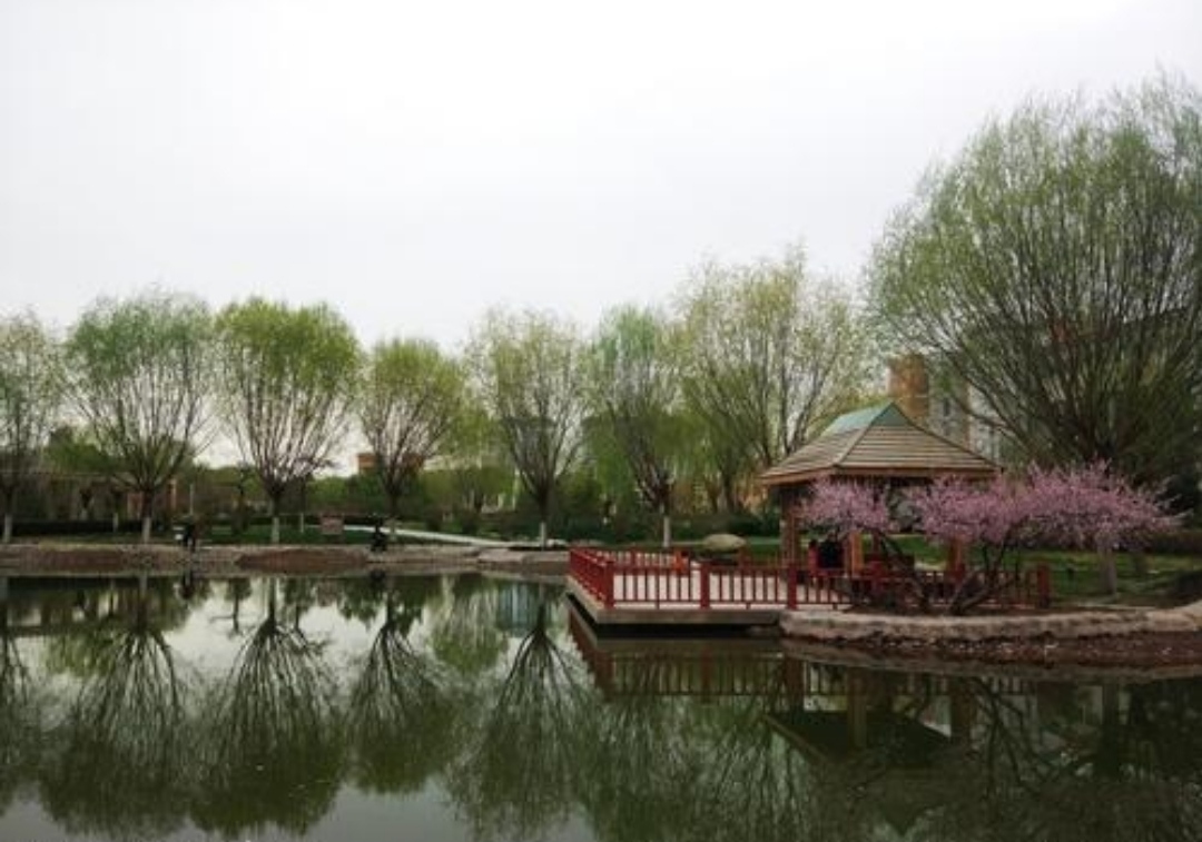 张国臂掖，以通西域，河西走廊，河西学院