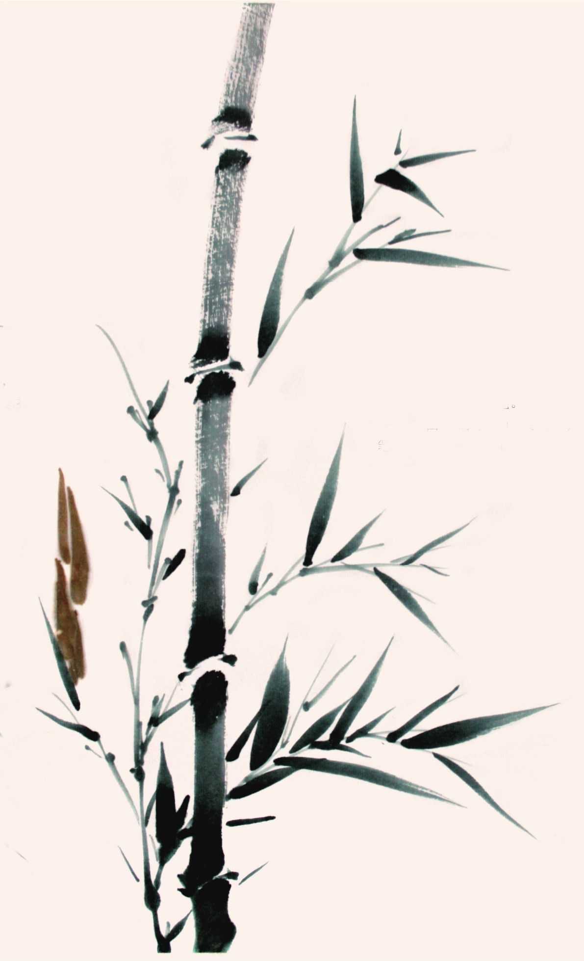 竹子写意画法：分步骤讲解新竹画法，简单易学，学会几分钟一幅画