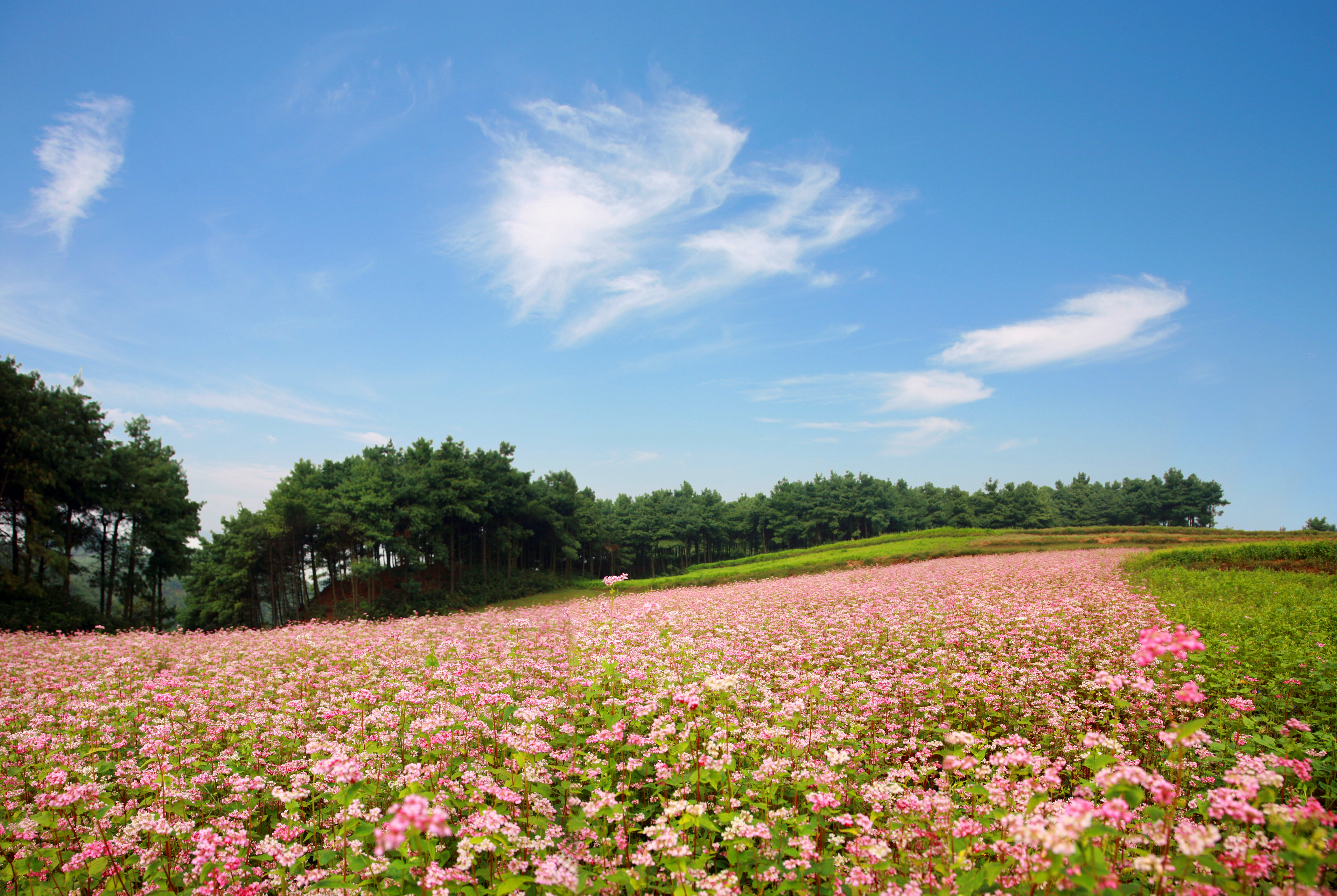 最好的毕节旅游攻略，以后来毕节玩就知道怎么玩了