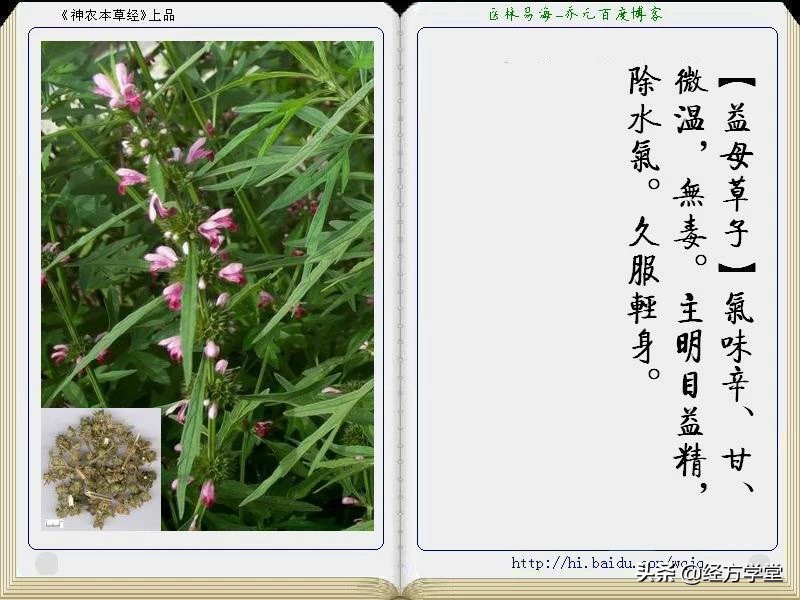 《神农本草经》全册图文解析 建议收藏