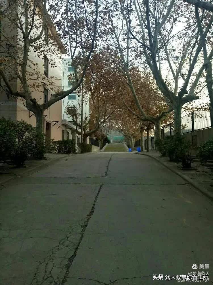 渭南师范专科学校，难忘的师专情怀