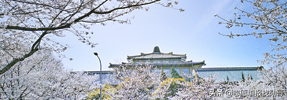 武汉大学最强的专业：排名全国第一，力压清华，录取分低