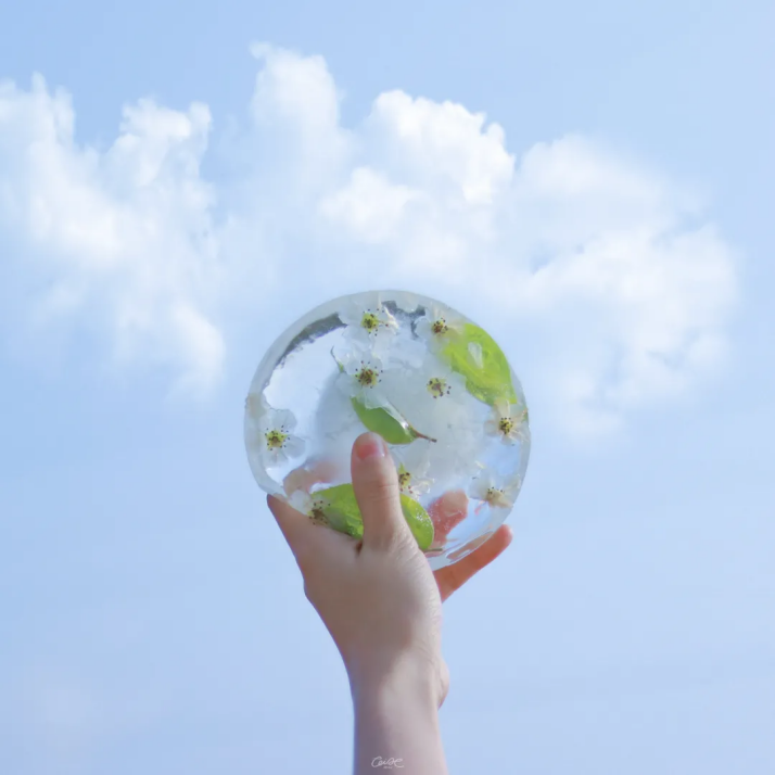 大学校花（神仙颜值）