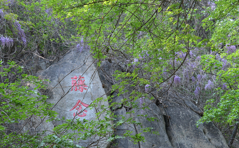 济宁一日游必去景点（济宁一日游必去景点有哪些）-第4张图片-华展网