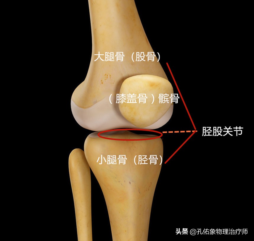 骨性关节炎吗?要如何应对?请看此文