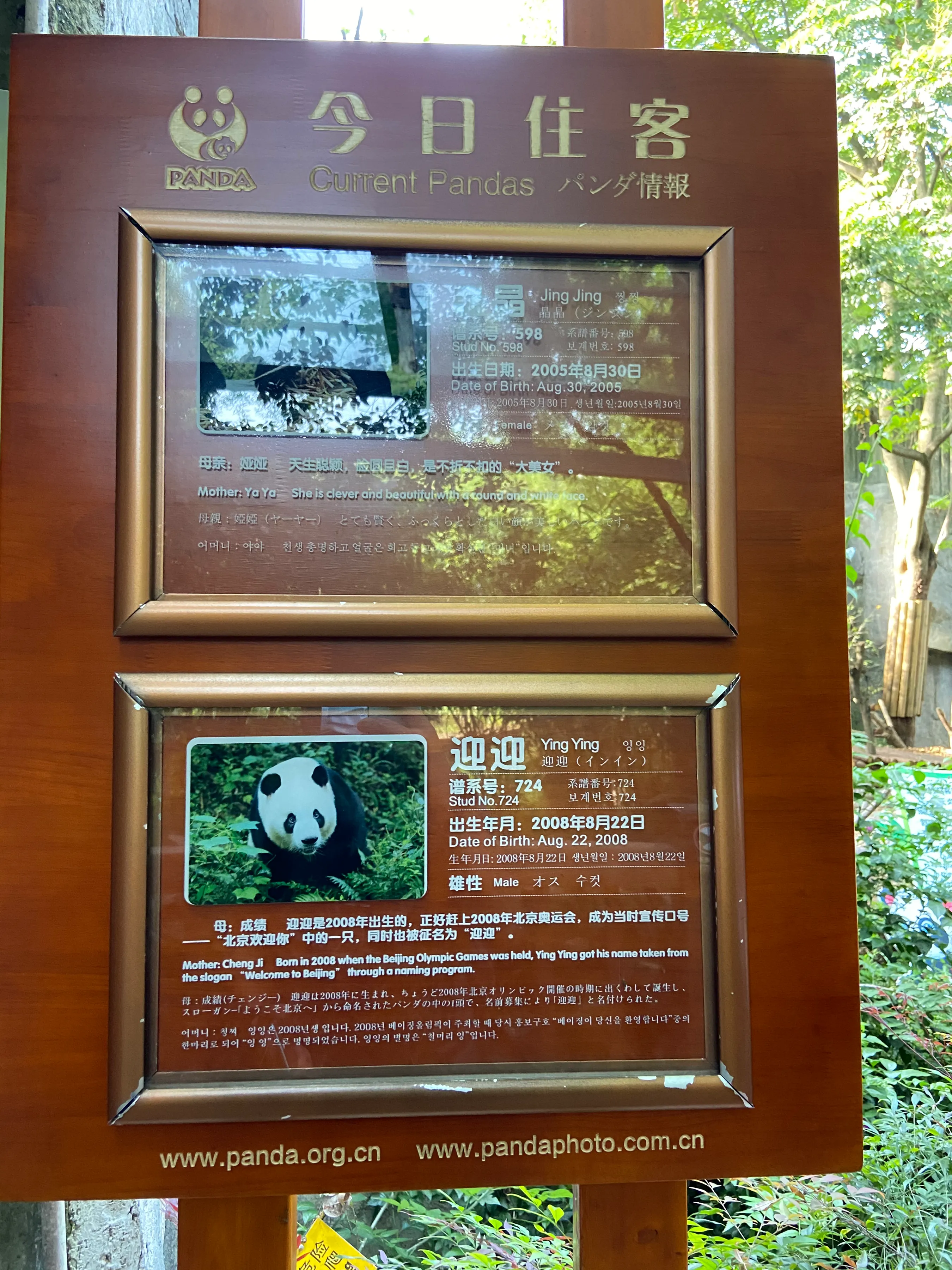 深圳去九寨沟旅游(深圳自驾九寨沟8日游（深-重庆-成都-都江堰-乐山-九寨沟-返深）)