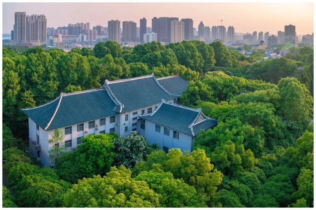 公开发表！湖北科研团队接连取得科研重大成果，引起国际关注！