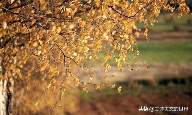三秋指的是多长时间（一文读懂三秋所指的时长）