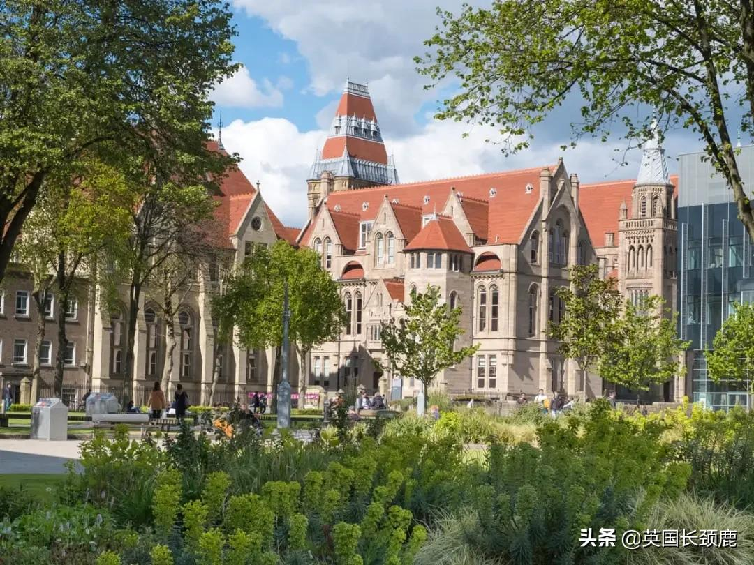 2021泰晤士大学影响力排名公布:曼大夺冠!世界前50英国占11所