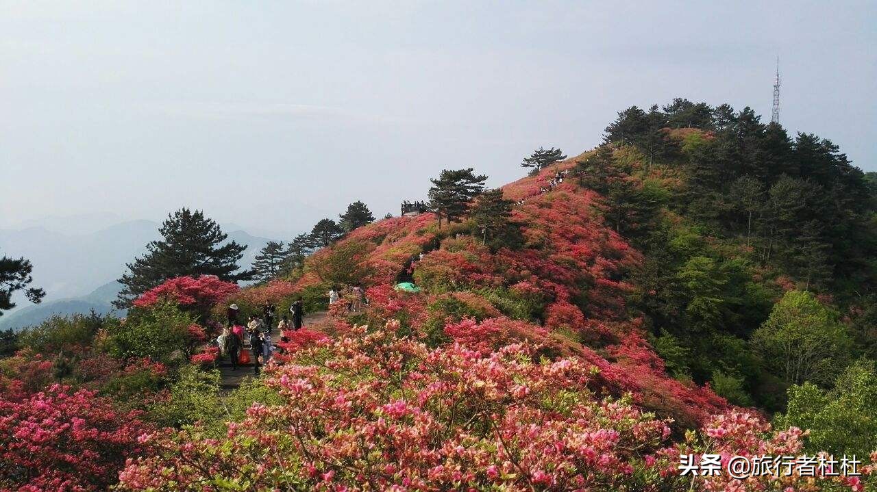 武当山、神农架、恩施大峡谷、九宫山，荆楚大地湖北十大名山