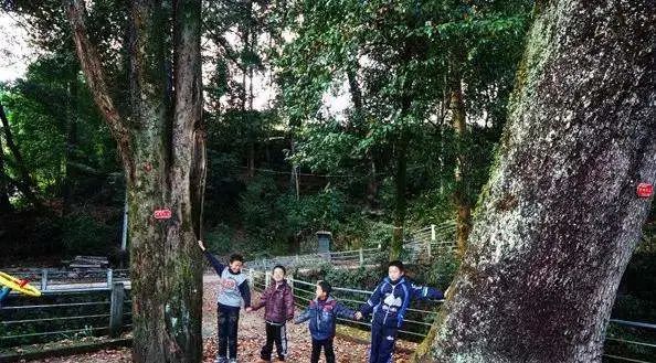 温州文成这7个古村落，有宁静秀美的山水中风景