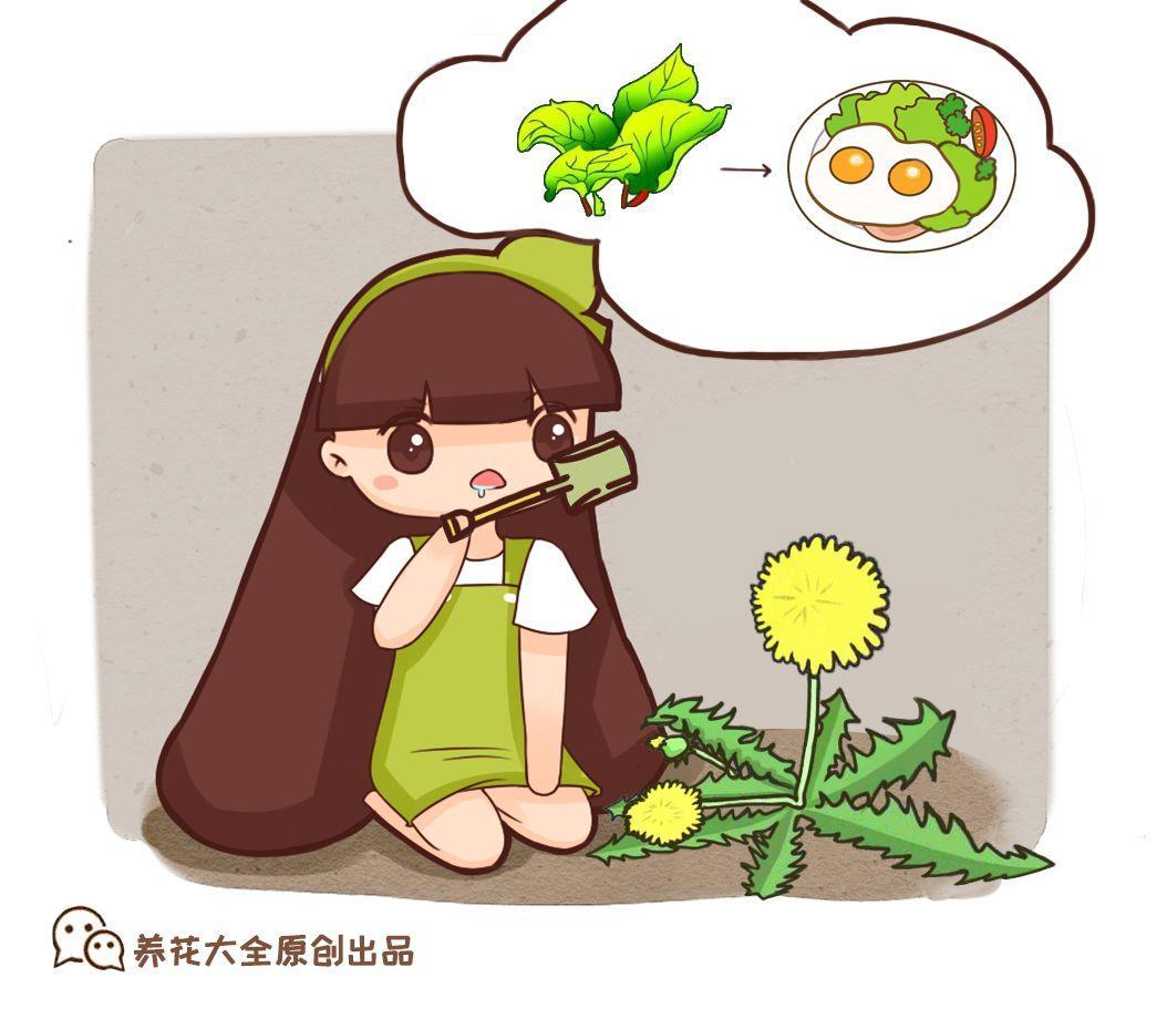 春天野菜贵如金,周末出门挖几棵,营养丰富口感好