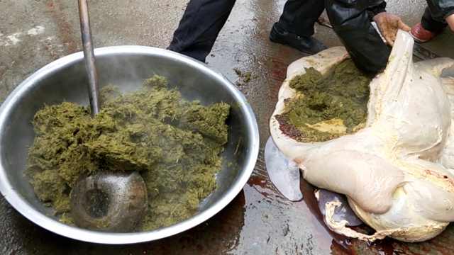 贵州吃的火锅是什么火锅(黔东南人爱吃的"牛瘪"火锅,是不是"牛粪"?