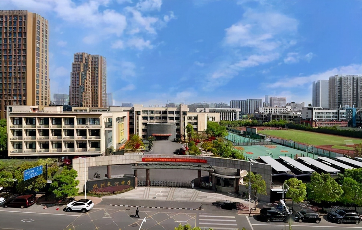 95后美女副校长走红，颜值与实力均在线，却因“学历”引发争议