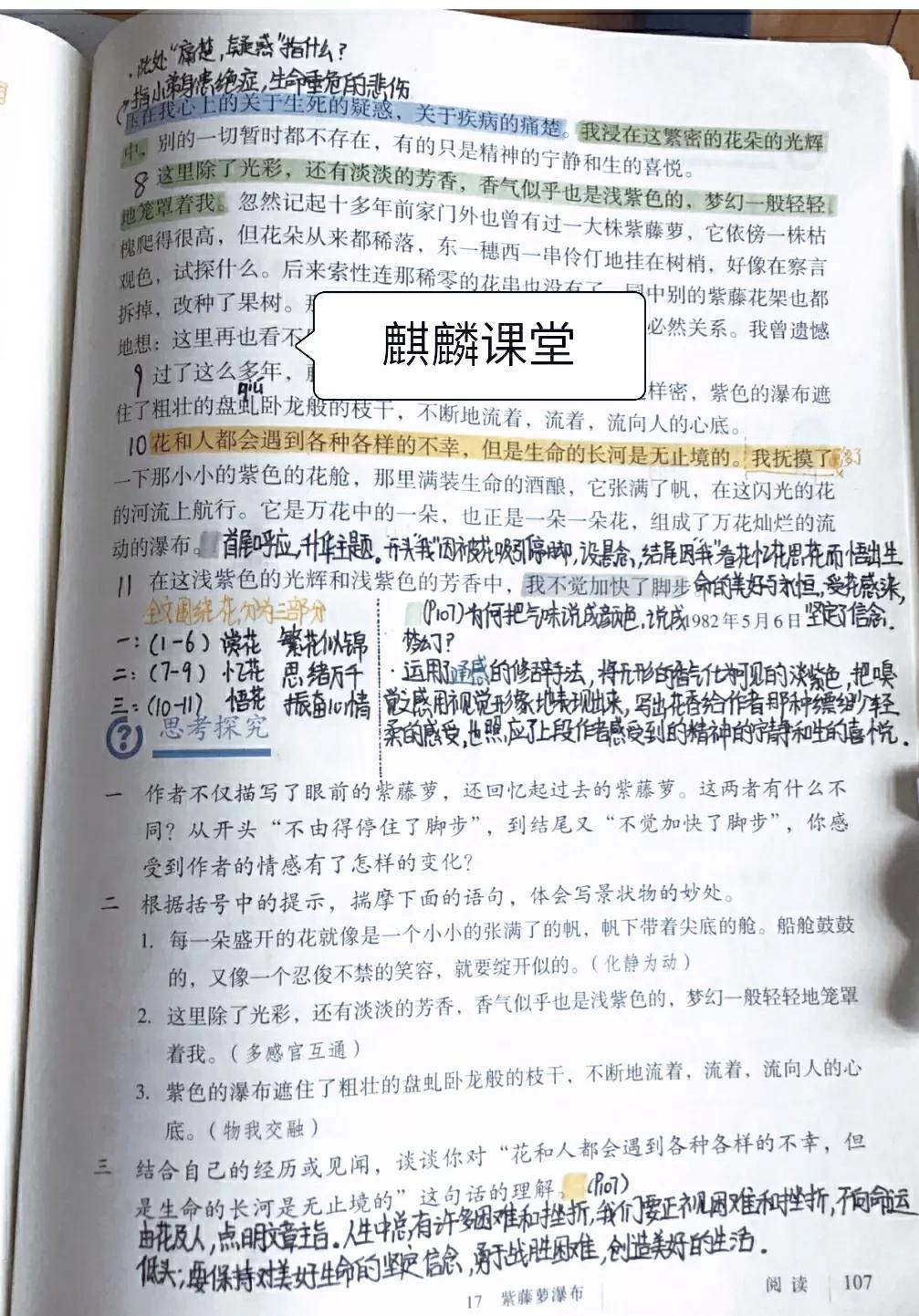 七年级语文下册十七课《紫藤萝瀑布》课文笔记,预习的好帮手
