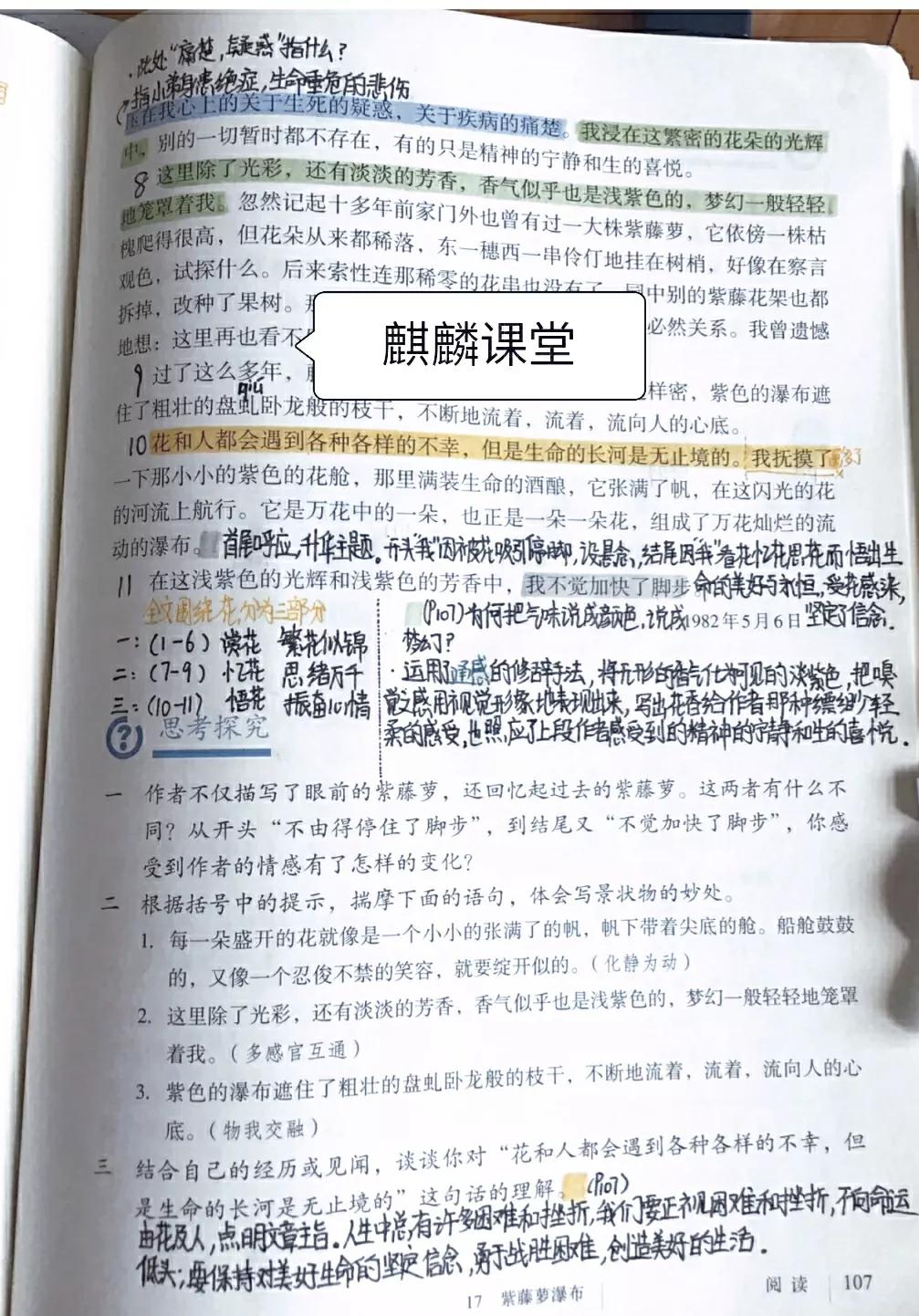 七年级语文下册十七课《紫藤萝瀑布》课文笔记，预习的好帮手