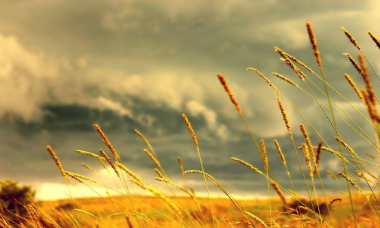 高考作文精彩开头和结尾50例精选，快来学习一下