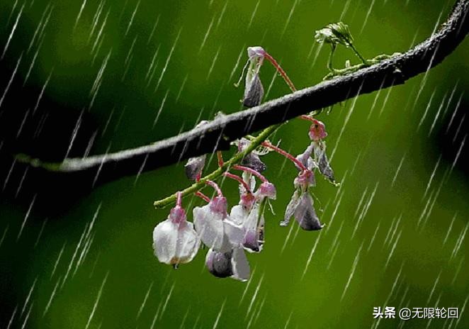 咏春雨的诗句有哪些(关于春雨的诗句古诗大全)