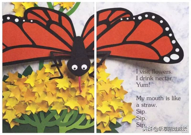 绘本磨耳朵：I'm a Caterpillar 中文《我是一条毛毛虫》！