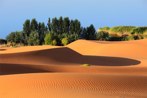 《牧羊少年奇幻之旅》|梦想得以实现的三个必须要素是什么？