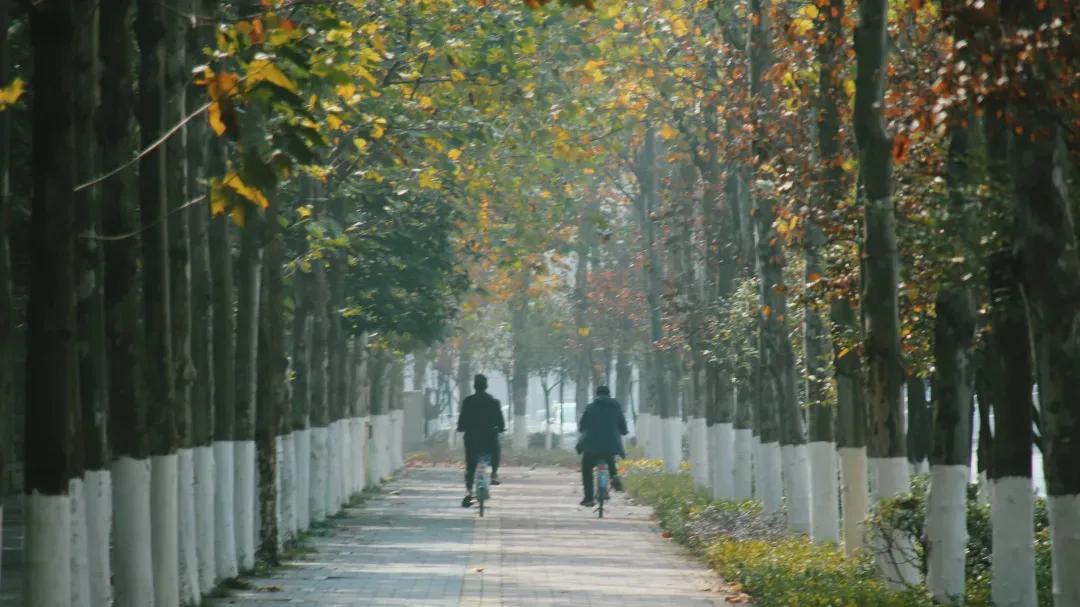 秋的色彩，你见过几分？来重大，共赏古风之韵