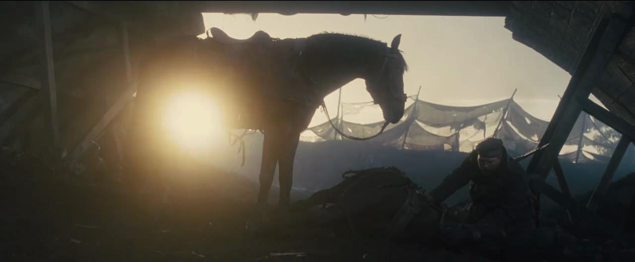 《战马》：不屈的眼神，勇敢的身影，一匹马的成长诠释了生命含义