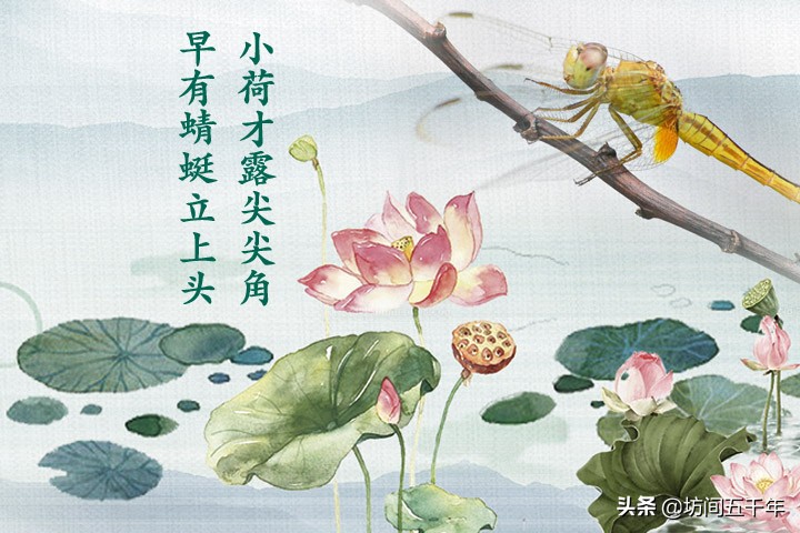 有哪些咏物明志的诗(有哪些咏物言志的诗句写出2句) - 泉兴百科