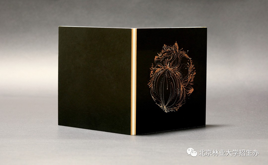 为了讲好八个字的校训，这所学校用了三年...