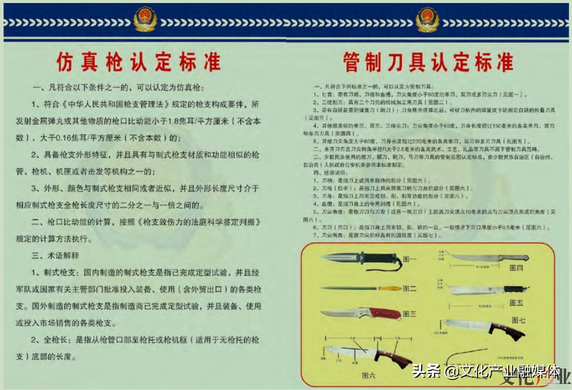 玩具购枪需谨慎 涉枪犯罪悔莫及