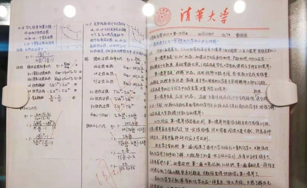 大学生旷课被罚集100个赞 网友：绝！