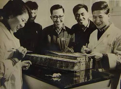 值得骄傲,每个中国人应该知道的近现代中国科学上的重大发明贡献