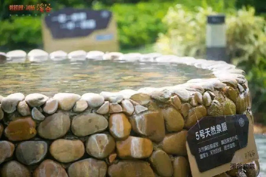 被深圳人遗忘的度假胜地，天然温泉池+超大泳池，网友：又平又正