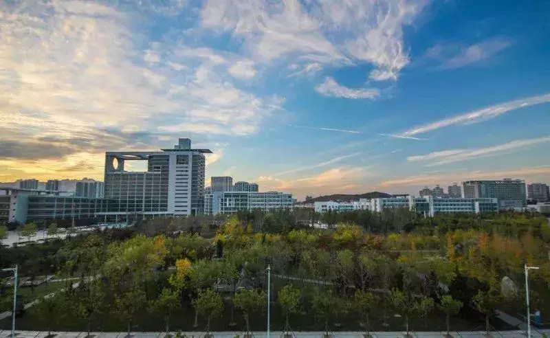 重磅 | 2019年山东省综合评价招生高校重点报考信息已整理好！