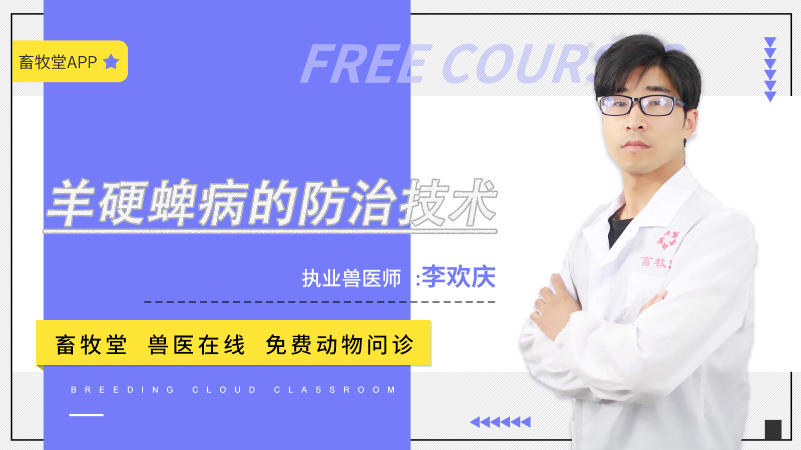 羊身上有蜱虫用什么药（羊硬蜱病的预防及治疗方法）