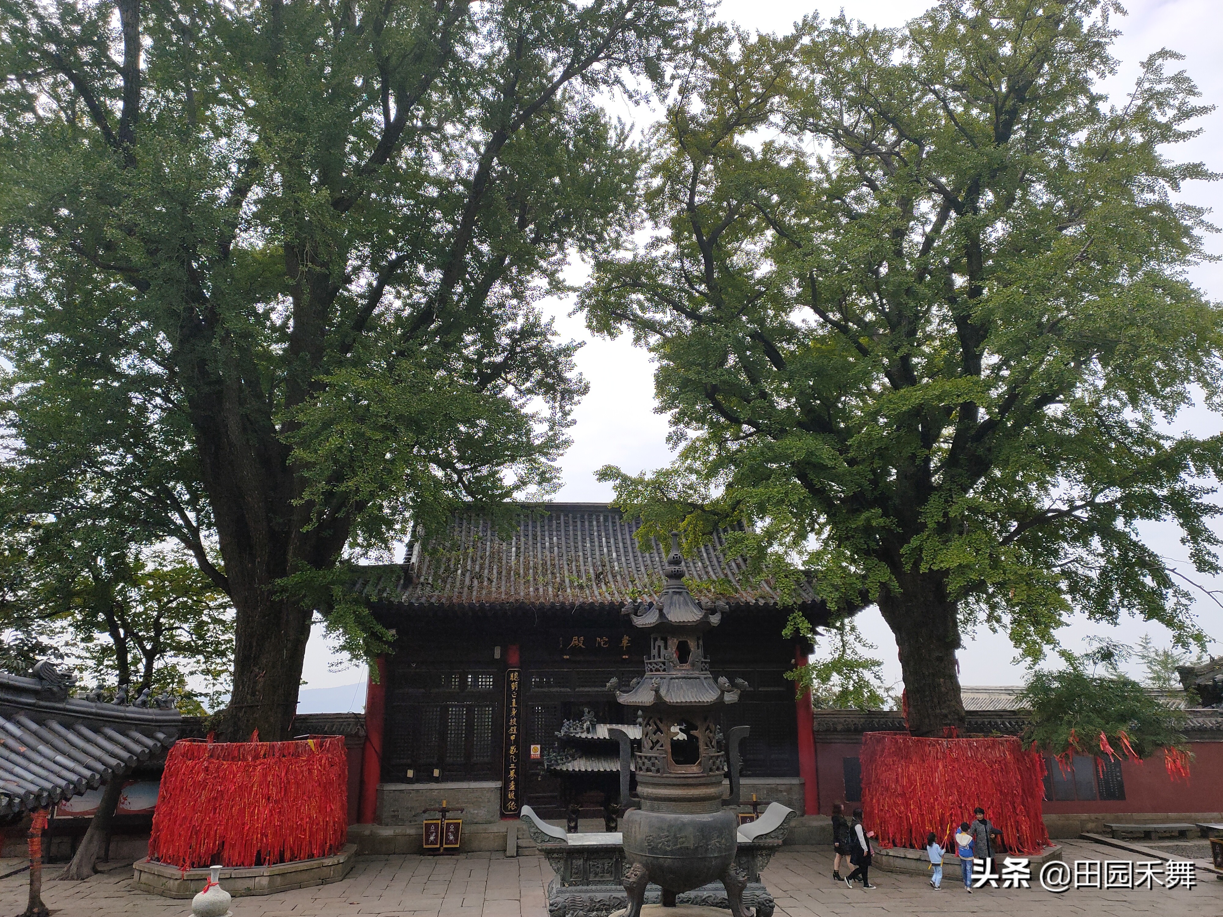 连云港花果山三元宫海宁禅寺,古树参天,建筑庄严雄伟
