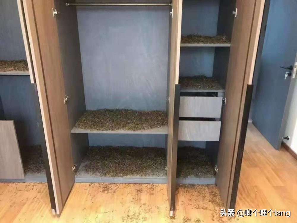 绿色环保施工方案便宜22